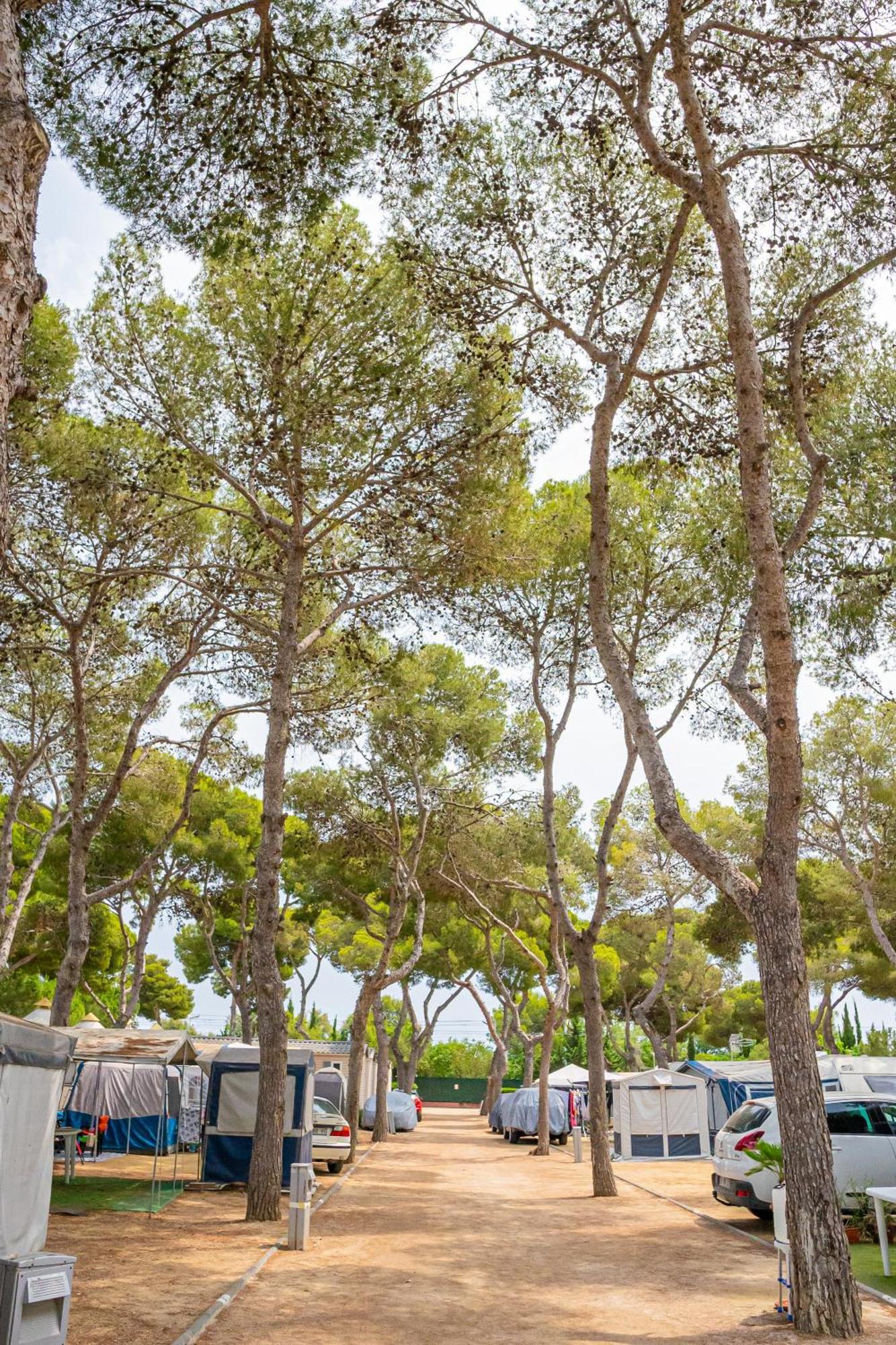 Camping Relax Sol Torredembarra Exterior foto